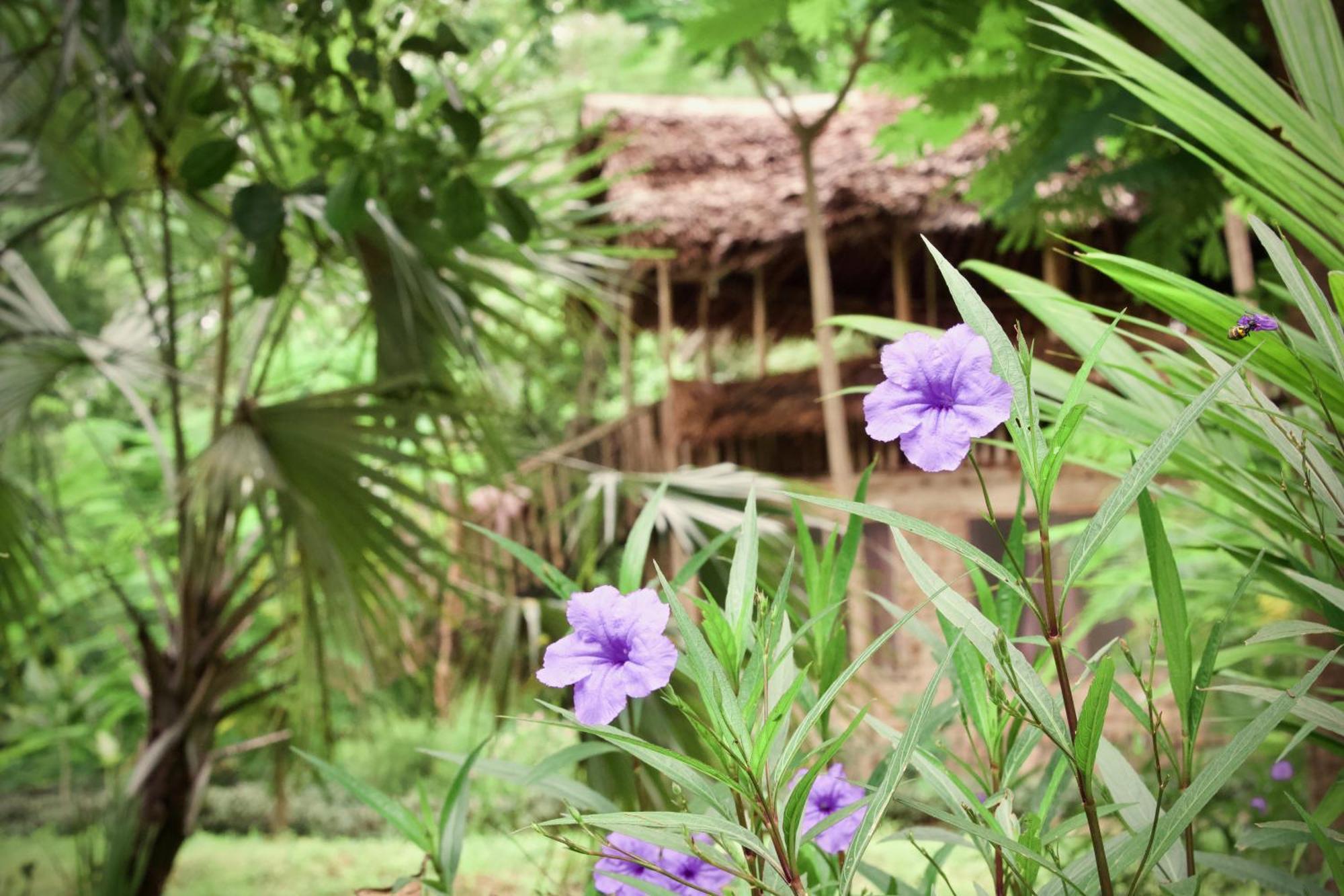Baker Safari Company Vila Kwangwazi Exterior foto